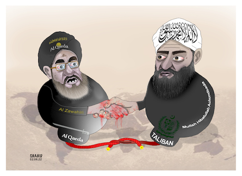 Cartoon: Re-Al Qaeda -Taliban relation! (medium) by Shahid Atiq tagged afghanistan