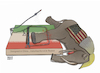 Cartoon: The elephant in the trap ! (small) by Shahid Atiq tagged iran