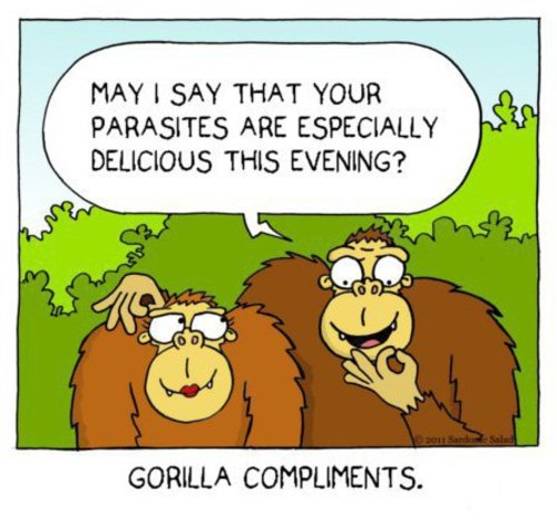 Cartoon: Compliments (medium) by sardonic salad tagged gorilla,parasite,cartoon,comic,compliment,sardonic,salad