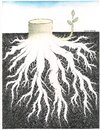 Cartoon: The Roots (small) by ercan baysal tagged tree,root,hope,handmade,work,art,artwork,good,draw,job,idea,favorite,form,pen,pencil,tattoo,fantasy,symbol,ercanbaysal,philosophy,logo,resistance,white,black,climate,line,ink,sapling,cute,cartoon