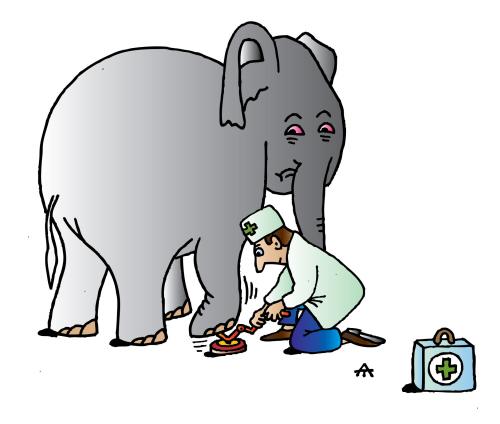 Cartoon: Elephant and Doctor (medium) by Alexei Talimonov tagged elephant,medicine,doctor
