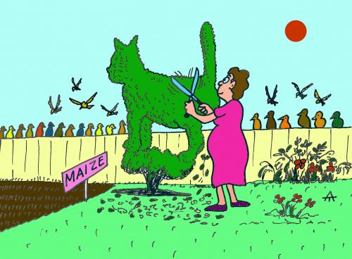 Cartoon: Garden (medium) by Alexei Talimonov tagged garden,cat,birds