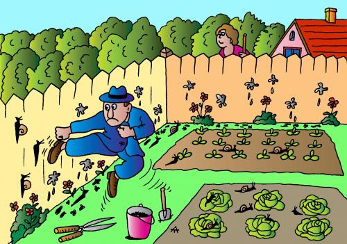Cartoon: Home Fighting (medium) by Alexei Talimonov tagged home,garden,snakes