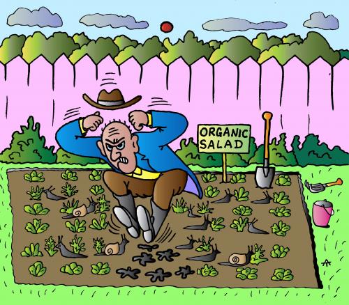 Cartoon: Organic salad (medium) by Alexei Talimonov tagged organic,salad