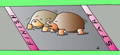 Cartoon: Start and Finish (medium) by Alexei Talimonov tagged turtles,race,finish,start
