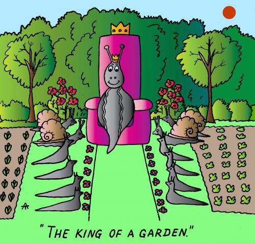 Cartoon: The King Of A Garden (medium) by Alexei Talimonov tagged snails,garden,king