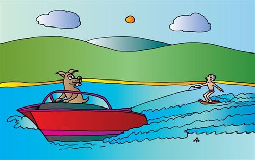 Cartoon: Water Skis (medium) by Alexei Talimonov tagged water,skis
