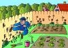 Cartoon: Home Fighting (small) by Alexei Talimonov tagged home,garden,snakes