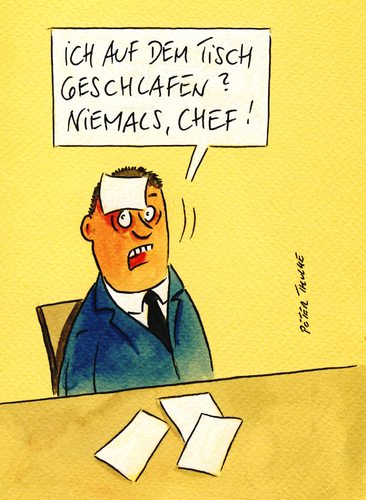 Cartoon: geschlafen (medium) by Peter Thulke tagged büro,schlaf,büro,schlaf