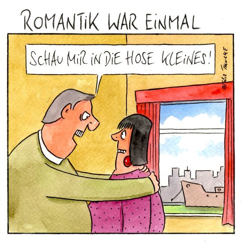 Cartoon: romantik (medium) by Peter Thulke tagged romantik,romantik,liebe,ehe,partnerschaft,beziehung,sex,romantiker