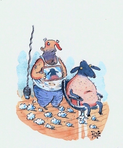Cartoon: Sheep shear (medium) by paktoons tagged pak,gag,cartoon,sheep