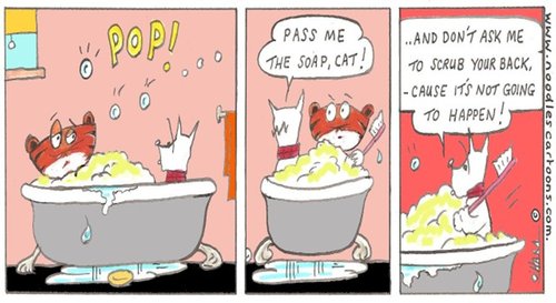 Cartoon: bathtime!.. (medium) by noodles cartoons tagged hamish,scotty,dog,bath,soap,cat,pop,art