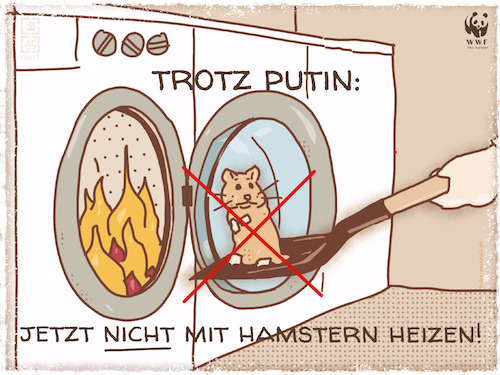 Cartoon: Hamsterheizen (medium) by hollers tagged heizen,hamster,hamstern,putin,gas,energie,ukraine,russland,heizen,hamster,hamstern,putin,gas,energie,ukraine,russland