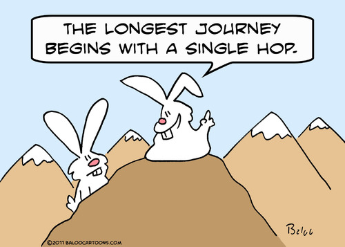 Cartoon: bunny rabbit guru single hop (medium) by rmay tagged bunny,rabbit,guru,single,hop