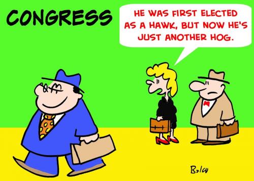 Cartoon: CONGRESS ELECTED HAWK HOG (medium) by rmay tagged congress,elected,hawk,hog