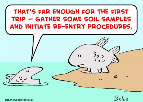 Cartoon: fish evolution reentry procedure (medium) by rmay tagged fish,evolution,reentry,procedure