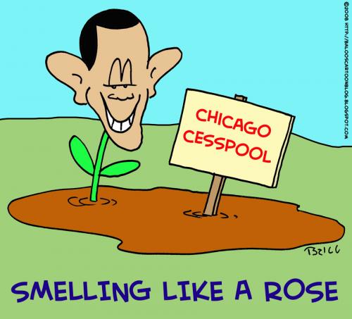 Cartoon: Obama chicago cesspool rose (medium) by rmay tagged obama,chicago,cesspool,rose